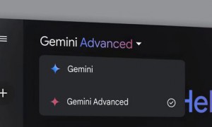 谷歌重申暂无在Gemini中投放广告计划，聚焦搜索广告