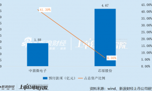 中茵微电子：实控人夫妇拿高薪仍低价减持套现 IP授权收入腰斩、占比萎缩至个位数 亏损扩大、现金流恶化